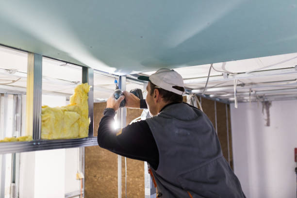 Best Insulation for New Construction  in Monte Sereno, CA