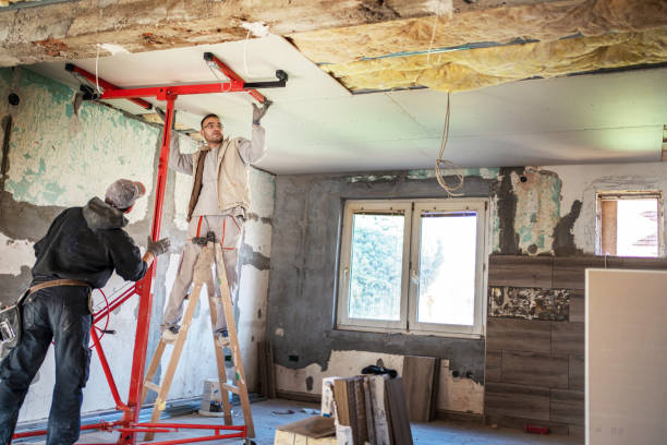 Best Cellulose Insulation  in Monte Sereno, CA